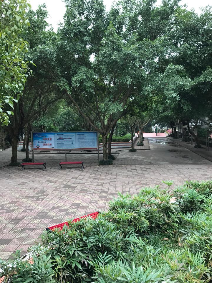 內(nèi)江十二中好嗎？