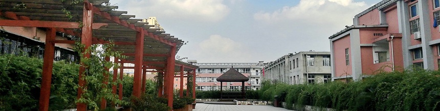 成都市通錦中學(xué)2019年中考分?jǐn)?shù)線是多少？