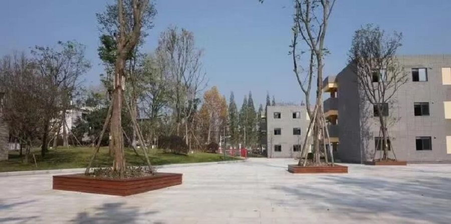 成都綿實(shí)外國(guó)語(yǔ)學(xué)校2019年招生公告公布了嗎？