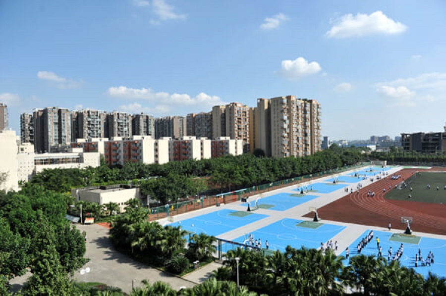 成都棠湖外國語學校2019年招生計劃出來了嗎？