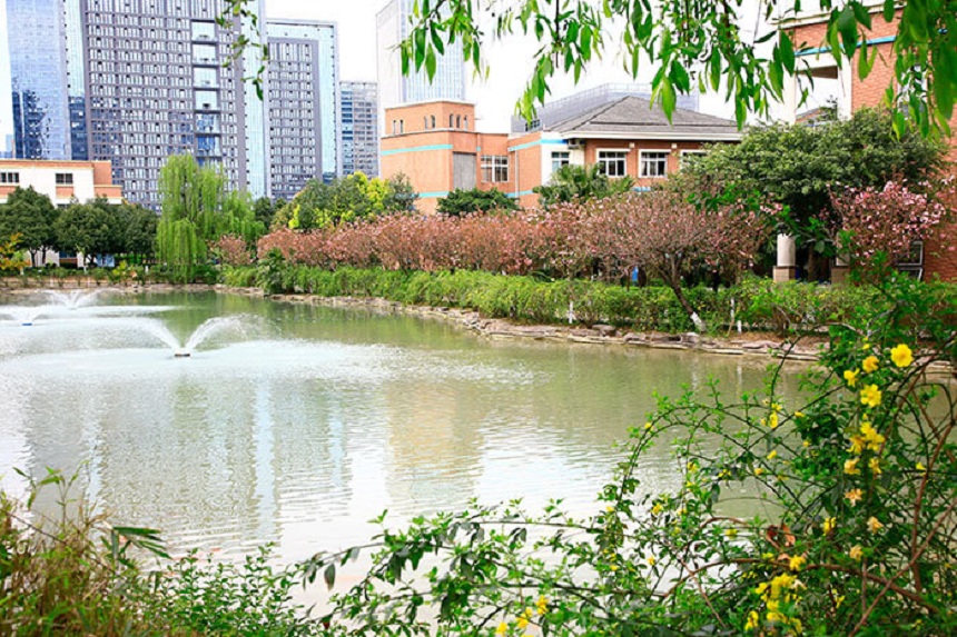 成都美視國(guó)際學(xué)校網(wǎng)址是什么？