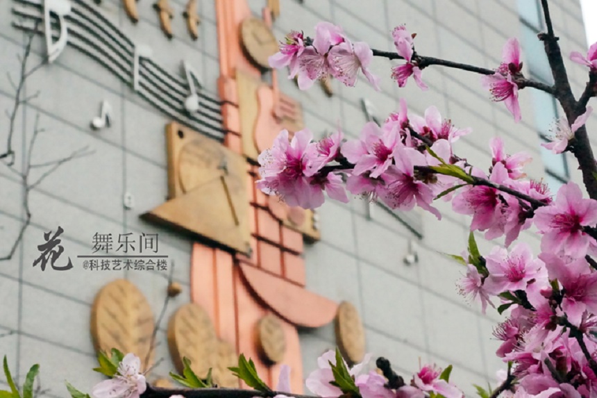 石室天府中學(xué)環(huán)境好不好、怎么樣？