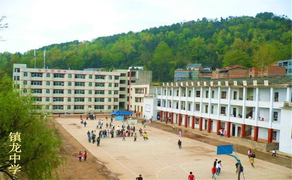 平昌縣鎮(zhèn)龍中學(xué)2020年學(xué)費(fèi)多少錢？