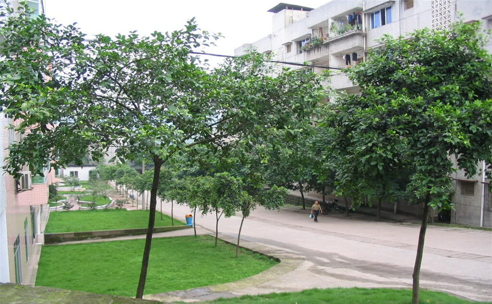 瀘州市納溪區(qū)護(hù)國中學(xué)地址在哪里？