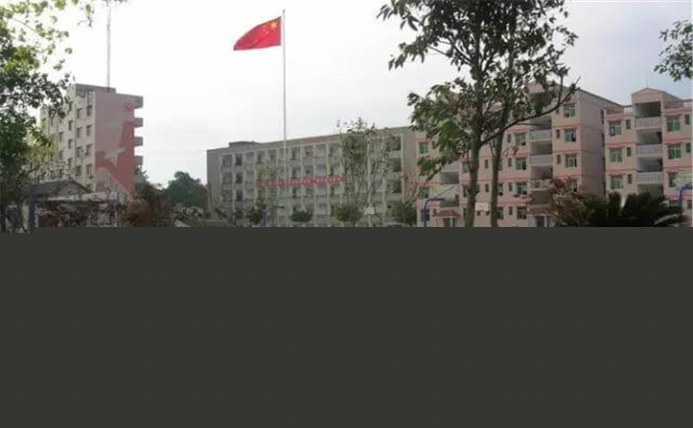 內(nèi)江市第十一中學(xué)學(xué)校招辦電話是多少？