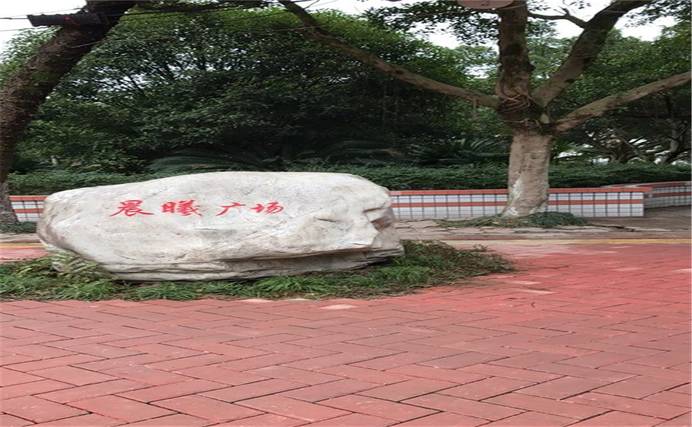 內(nèi)江十二中2020年中考錄取分?jǐn)?shù)線多少分？