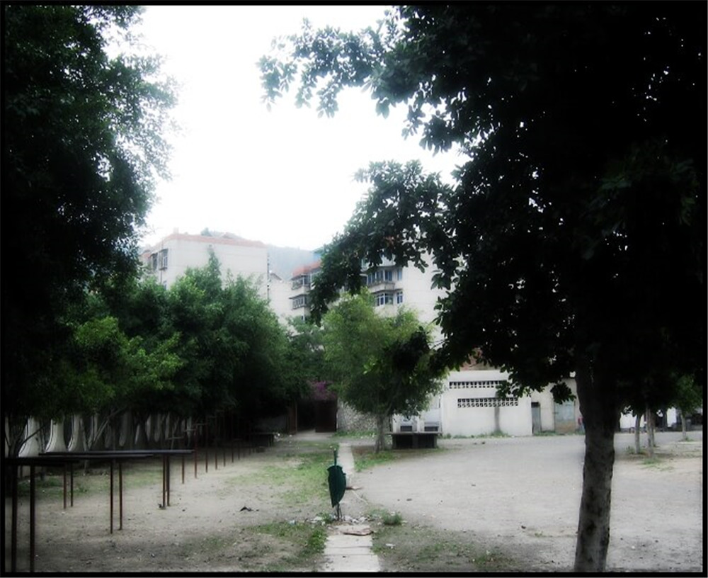 攀枝花市延邊縣中學(xué)校招辦電話是多少？