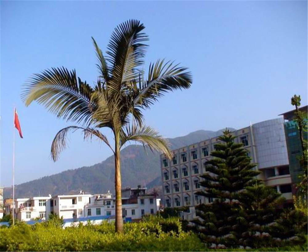 四川省鹽邊縣漁門中學(xué)2020年學(xué)校學(xué)費(fèi)多少錢一年？