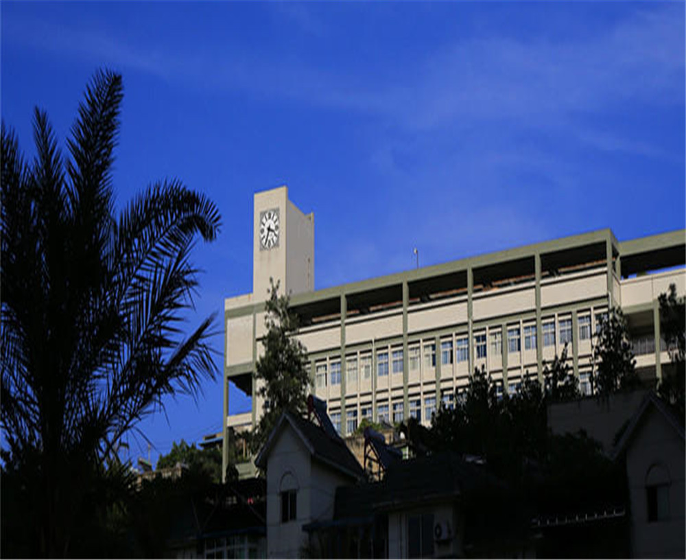 攀枝花市第十五中學(xué)學(xué)校詳細(xì)地址在什么地方？
