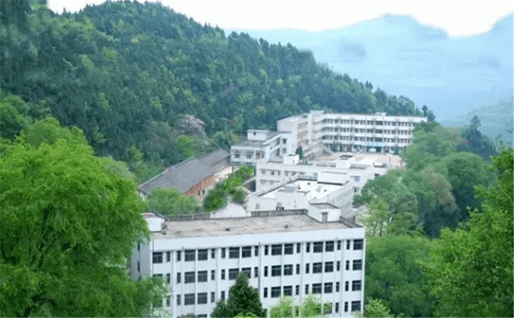 閬中市二龍中學(xué)2020年學(xué)校學(xué)費(fèi)多少錢一年？