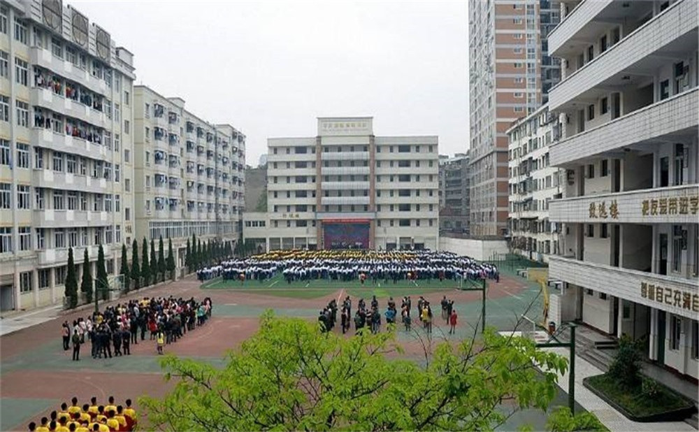 陽(yáng)安中學(xué)每年的學(xué)費(fèi)是多少？