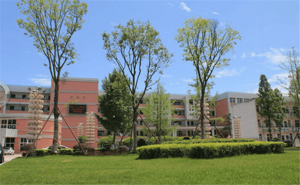 成都市籍田中學(xué)的老師怎么樣？