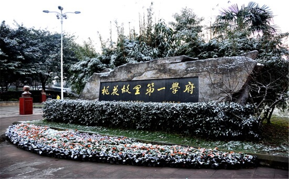 成都市龍泉中學(xué)的高考升學(xué)率是多少？