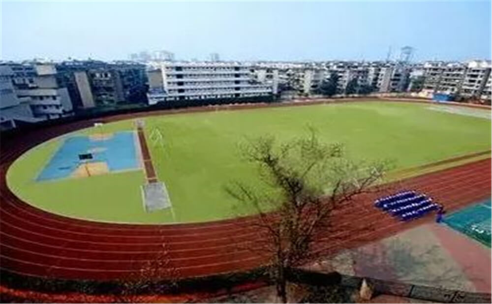 成都實外新都五龍山學校2020年招生標準在哪兒看？