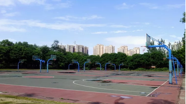 成都實(shí)驗(yàn)外國(guó)語學(xué)校的本科升學(xué)率是多少？