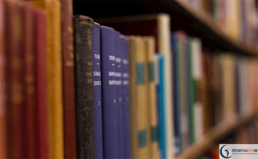 西南交通大學附屬中學的學費收費標準是多少？