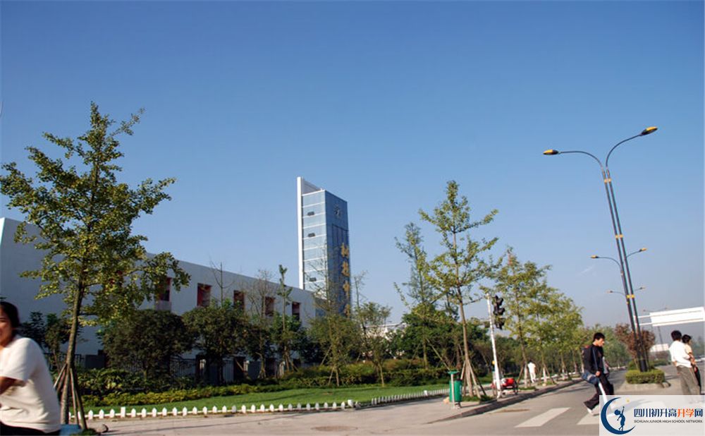 成都樹(shù)德中學(xué)的學(xué)費(fèi)大概多少錢？