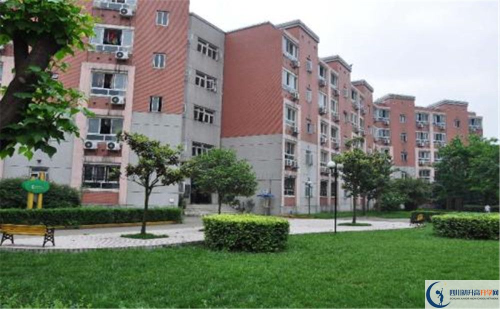 樹德博瑞實驗學校2020年錄取條件是什么？