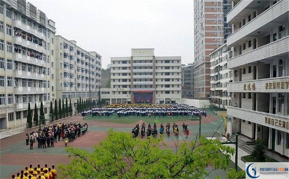 陽安中學(xué)的高一分班嗎？