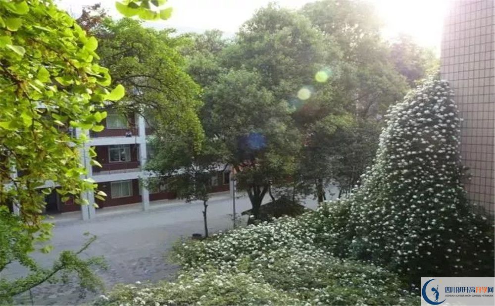 成都市石室聯(lián)中蜀華分校2020年保送清華北大的人數(shù)是多少？