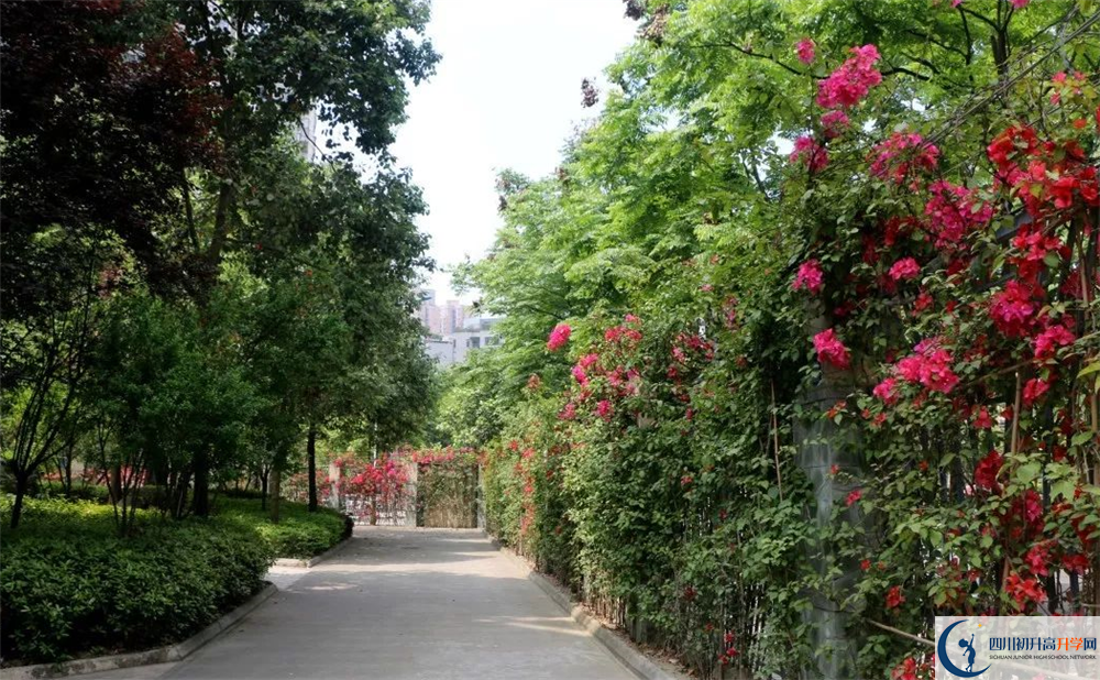 成都市第三中學(xué)平行班與實(shí)驗(yàn)班差多少？