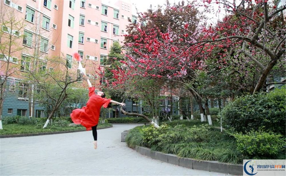 簡(jiǎn)陽(yáng)中學(xué)2020年保送清華北大的人數(shù)是多少？