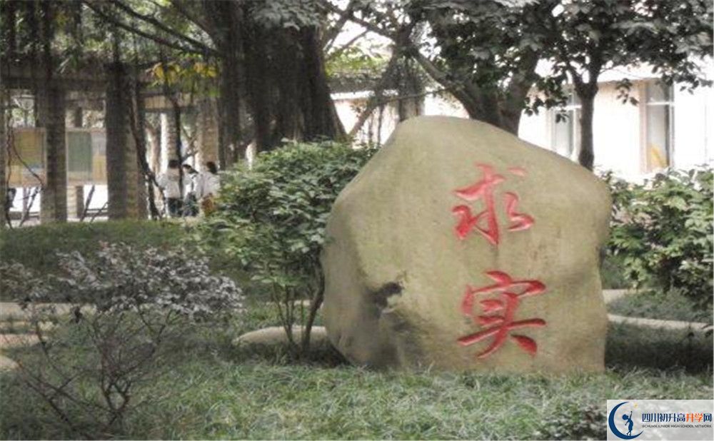 成都市第四十九中學(xué)2020屆高三期末試卷在哪里看？