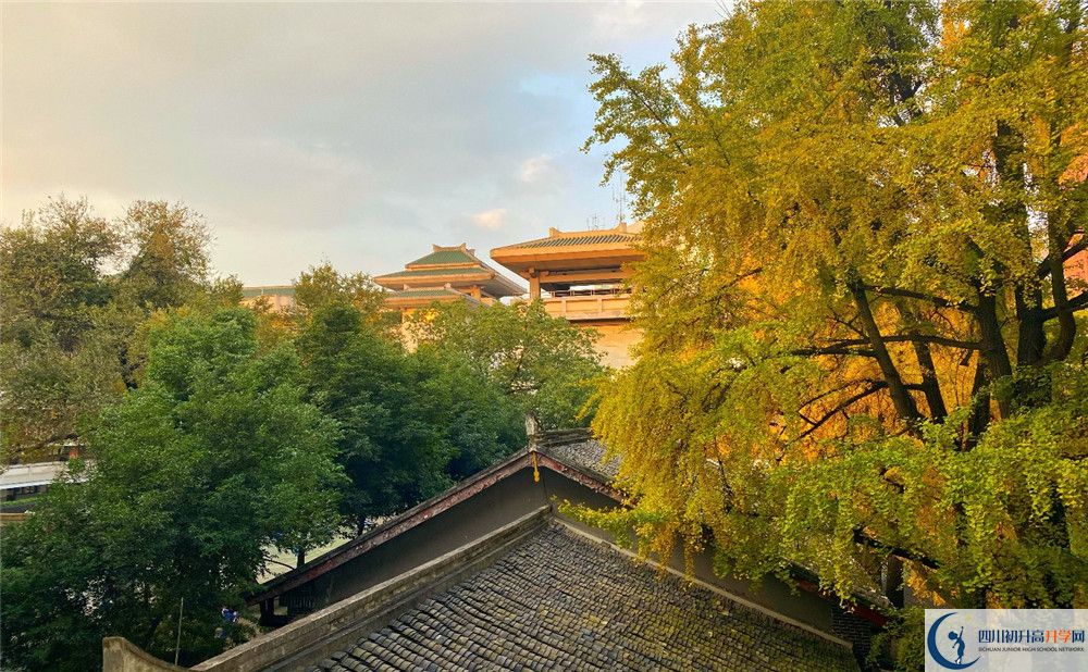 成都石室中學(xué)位置在哪里？