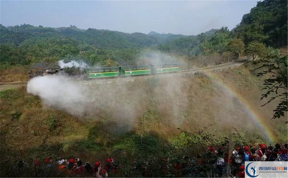 成都市泡桐樹中學(xué)國際班費(fèi)用是多少？