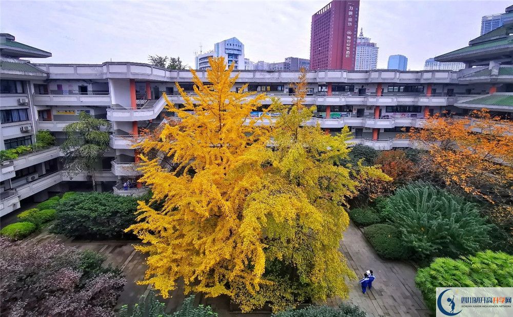 成都市泡桐樹中學2020年全國排名？