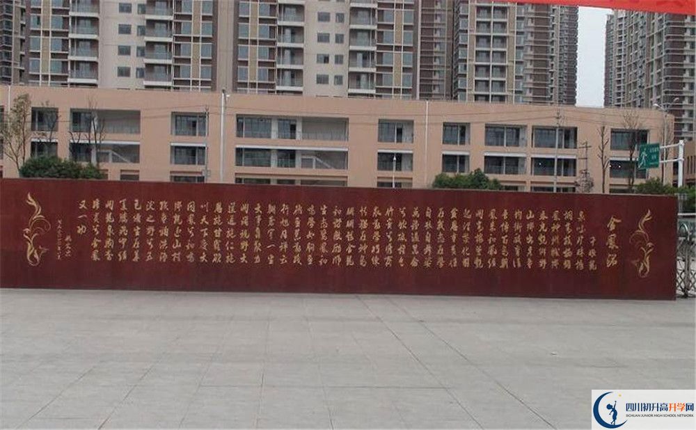 成都經濟技術開發(fā)區(qū)實驗中學2020年全國排名是多少？
