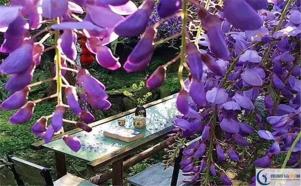 郫縣三中平行班與實(shí)驗(yàn)班差多少？