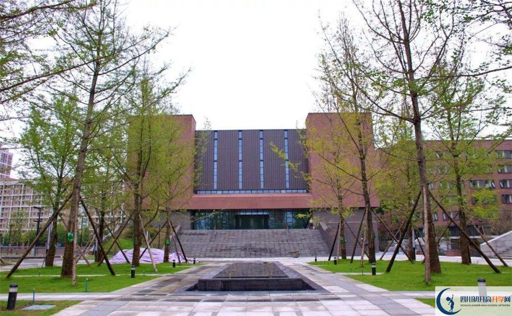 2020電子科技大學實驗中學初升高分班考試題難嗎？