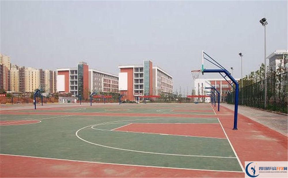 成都經(jīng)濟技術(shù)開發(fā)區(qū)實驗中學(xué)是私立收費嗎？