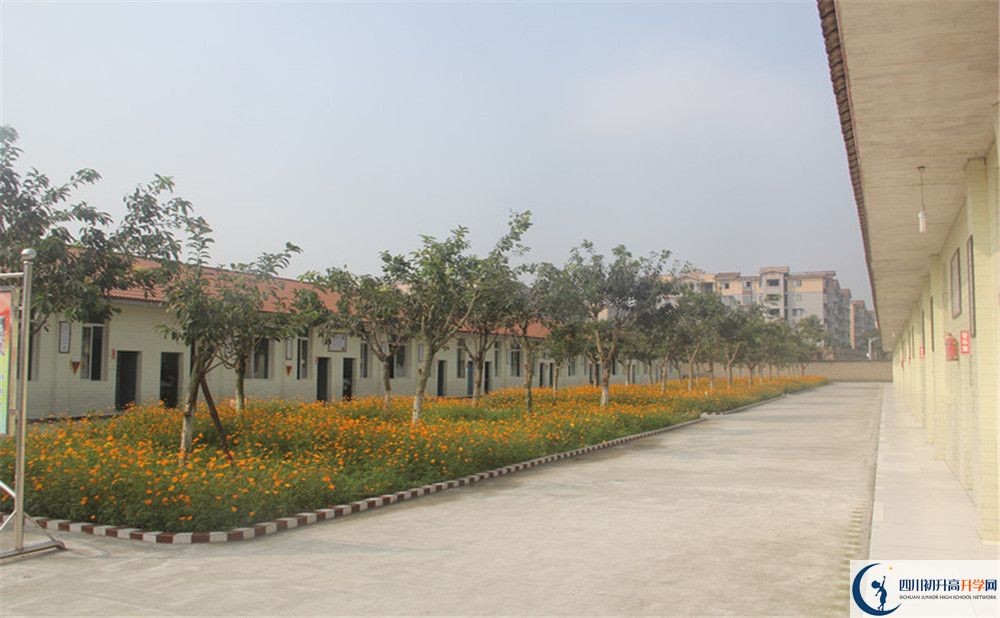 強(qiáng)項(xiàng)實(shí)驗(yàn)中學(xué)在全國高中排名多少？
