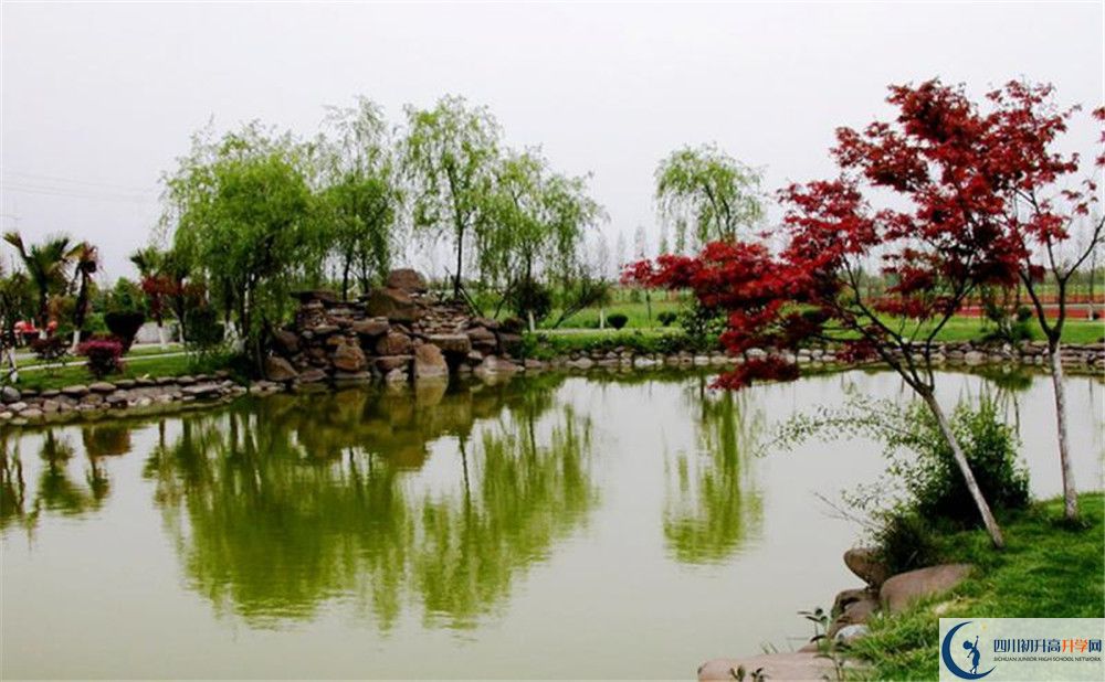 成都七中實(shí)驗(yàn)學(xué)校面向全國(guó)招生嗎？