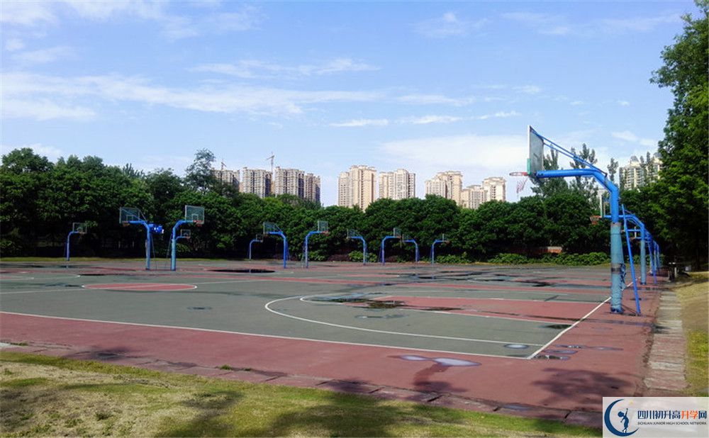成都實(shí)驗(yàn)外國(guó)語(yǔ)學(xué)校（西區(qū)）補(bǔ)課嗎？