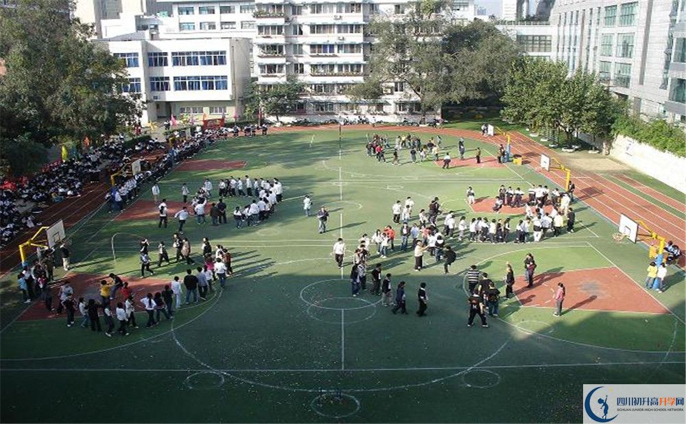 樹德博瑞實驗學校在校學生總?cè)藬?shù)是多少？