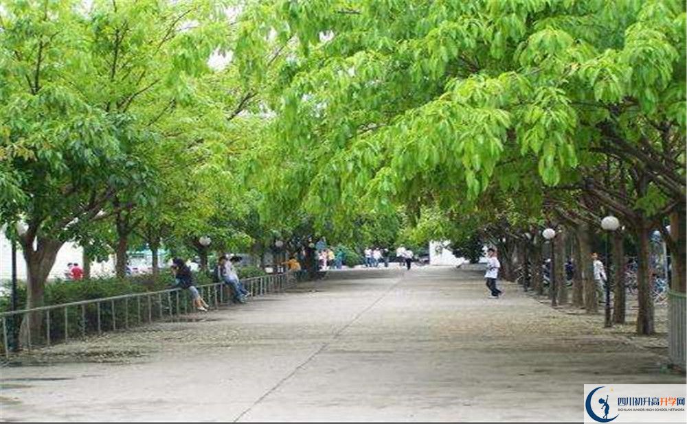 金堂實驗中學在校學生總?cè)藬?shù)是多少？