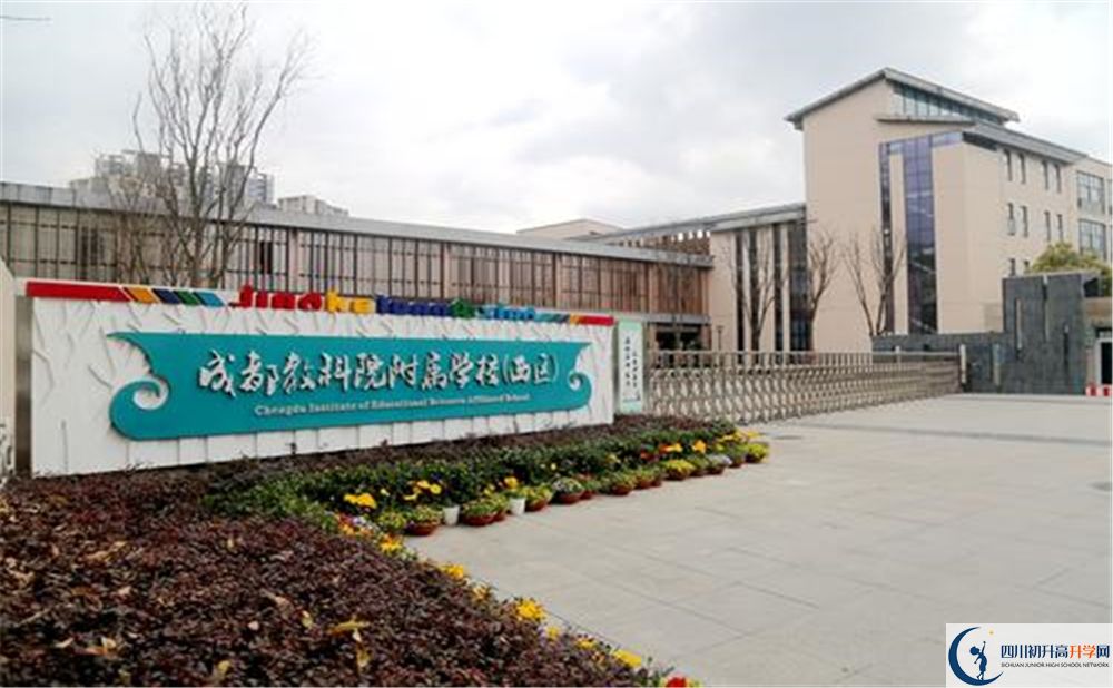 成都教科院附屬學校2020年高考人數(shù)是多少？