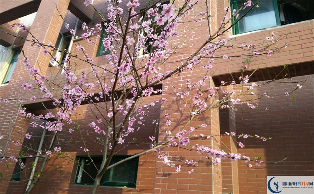 2020都江堰育才學校初升高錄取線是否有調(diào)整？