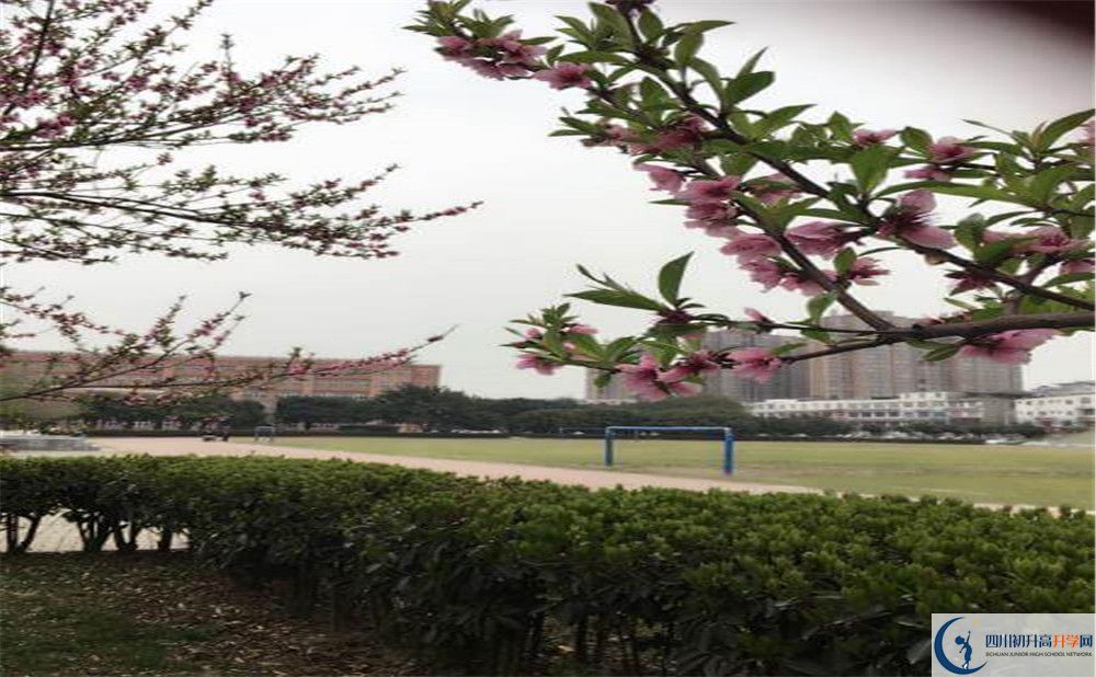 2020年樹德博瑞實(shí)驗(yàn)學(xué)校初升高考試時間是否有調(diào)整？