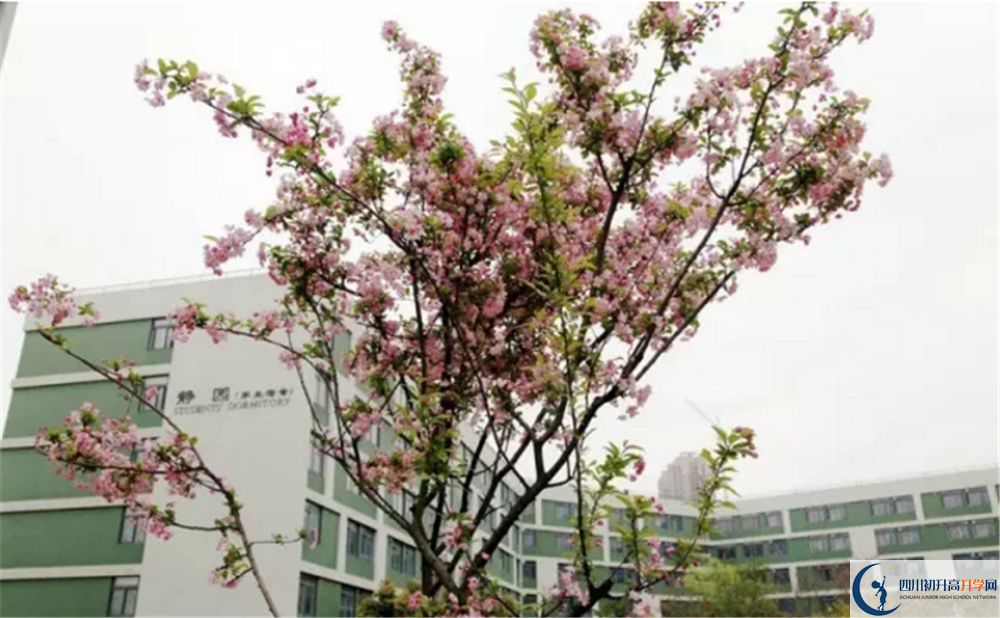 2020年四川省瀘州市實(shí)驗(yàn)中學(xué)初三畢業(yè)時(shí)間如何變化？