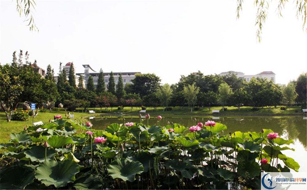 綿陽(yáng)南山中學(xué)實(shí)驗(yàn)學(xué)校2020年報(bào)名考試時(shí)間是否有調(diào)整？