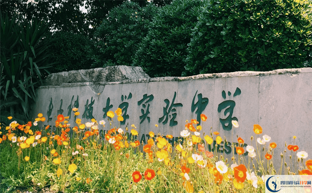 科大實(shí)驗(yàn)2020年好嗎？