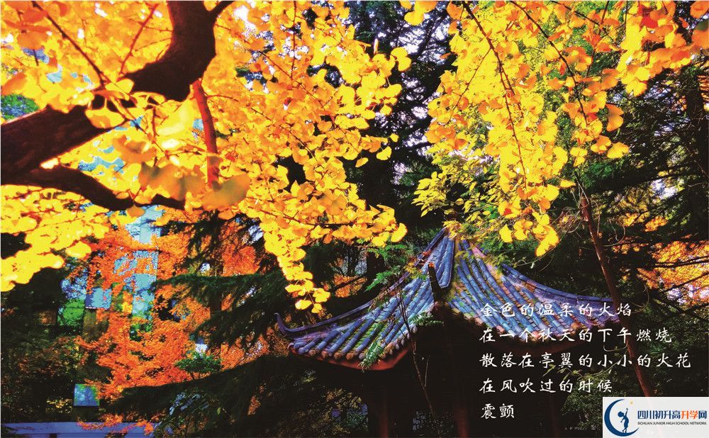 七中高新2020年學(xué)費(fèi)是多少錢？