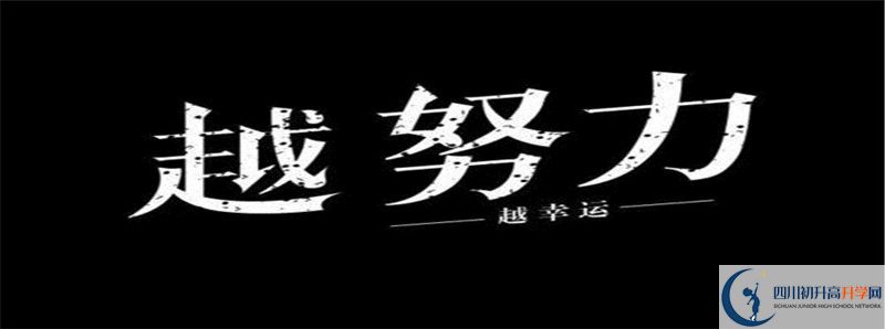 去年攀枝花市外國語學(xué)校的本科升學(xué)率是多少？